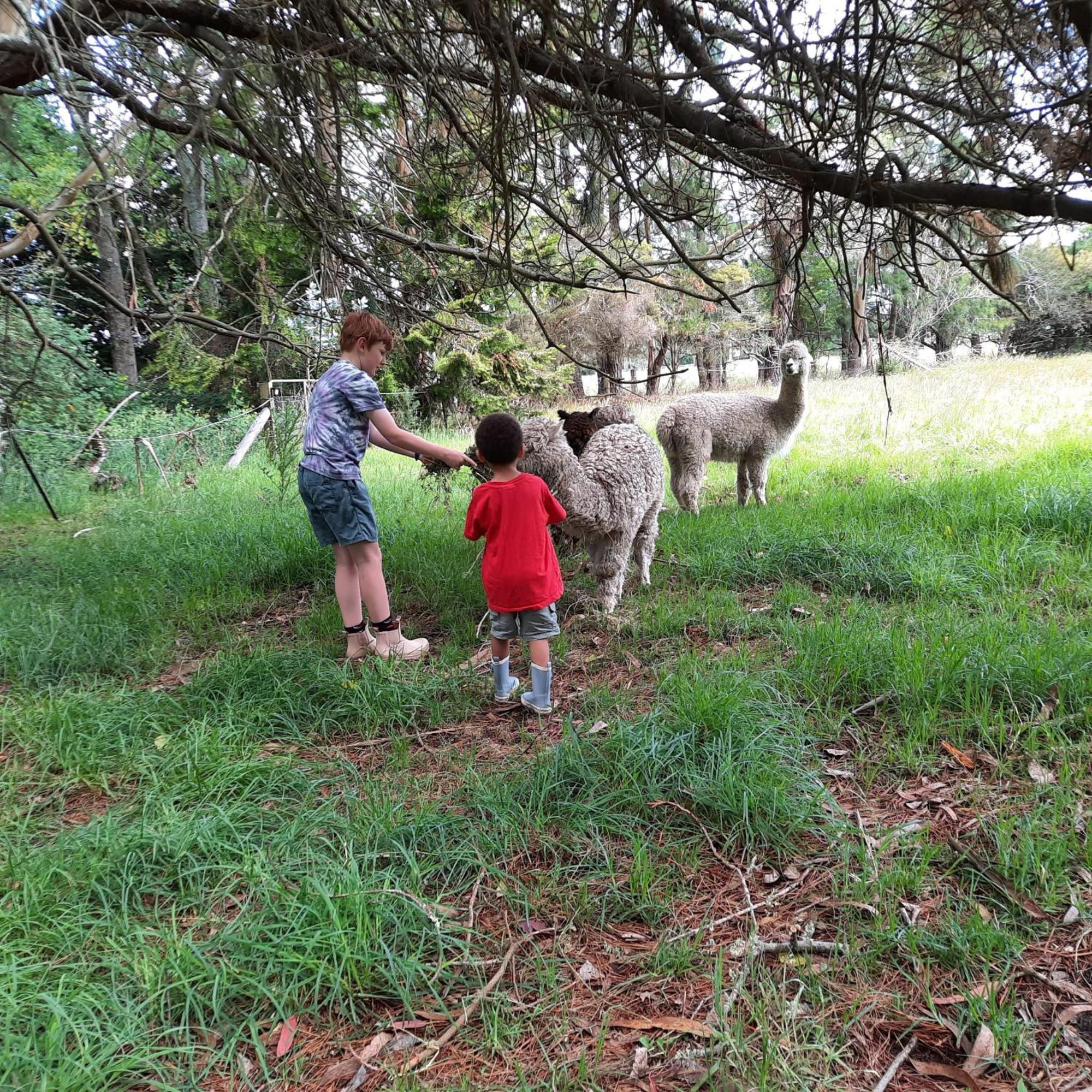 Relaxing At Acreage * Burrawang