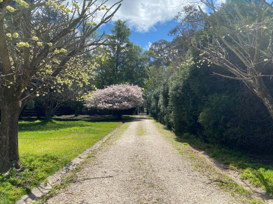 Relaxing At Acreage Holiday home Burrawang