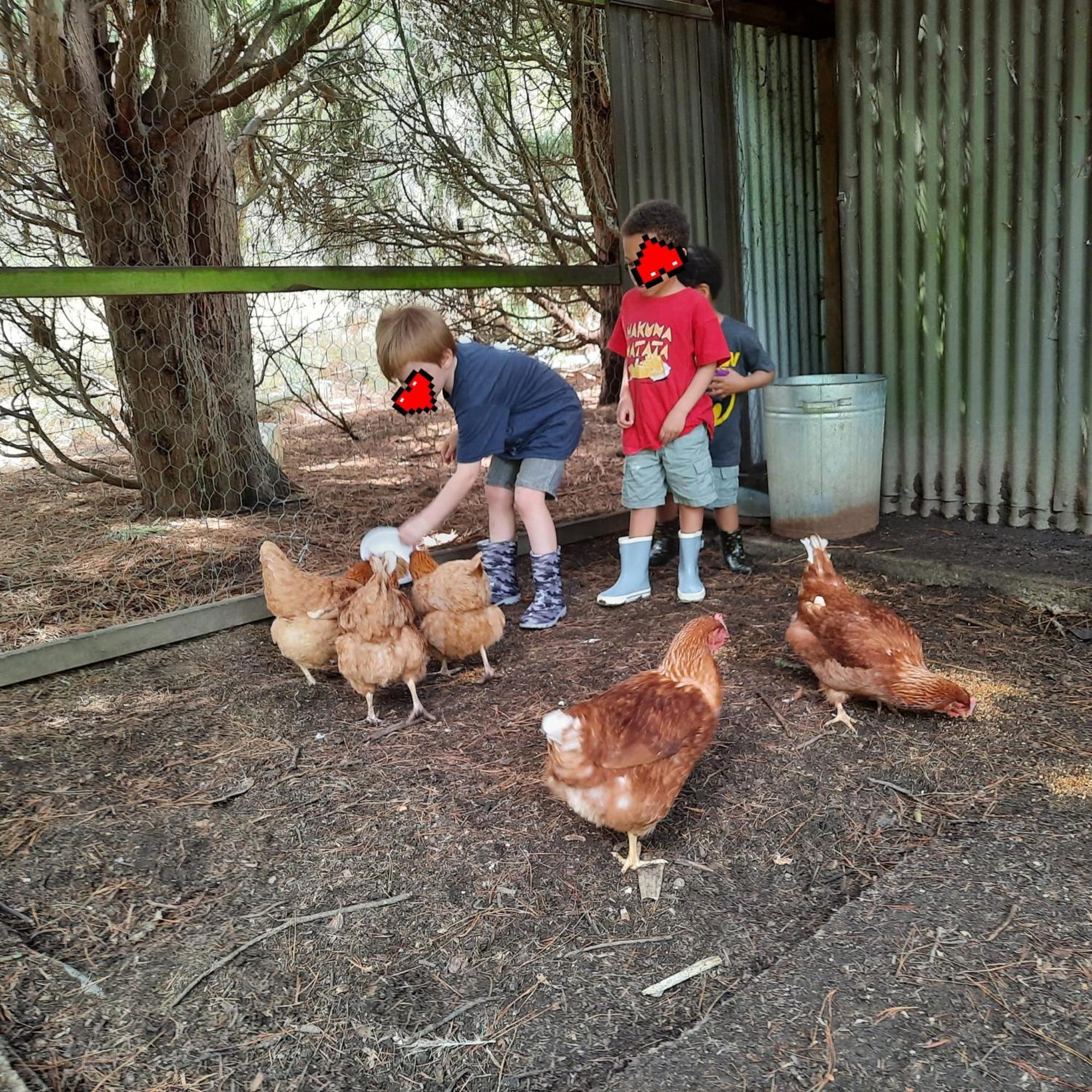 Relaxing At Acreage Burrawang